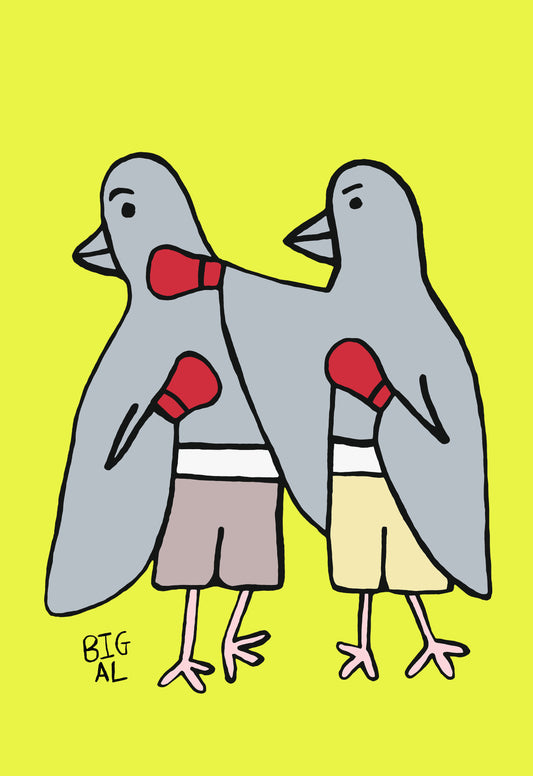 Pigeons Boxing
